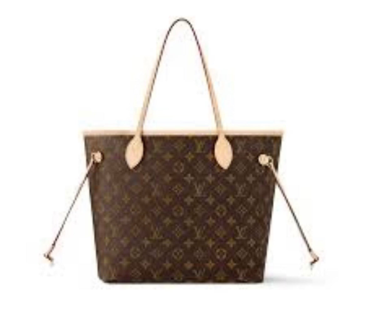 lv ladies bag